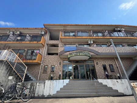 ﾀﾞｲｱﾊﾟﾚｽｽﾃ-ｼｮﾝﾌﾟﾗｻﾞ八乙女(120)外観写真