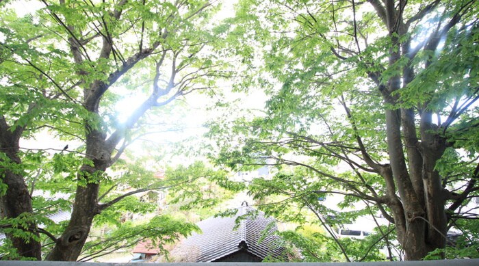 物件内観写真22　(室内からの展望)