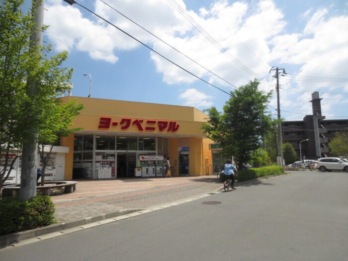 ヨークベニマル 真美沢店