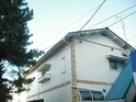 アンジェリカ柏木
