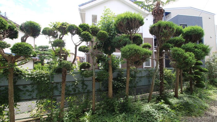 物件内観写真21　(室内からの展望)