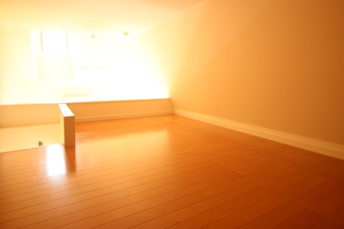 物件内観写真10　(ロフト)