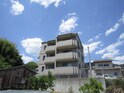 Ｇｒｅｅｎ　Ｓｔｒｅｅｔ壱番館