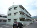 グリーンドエル鶴江