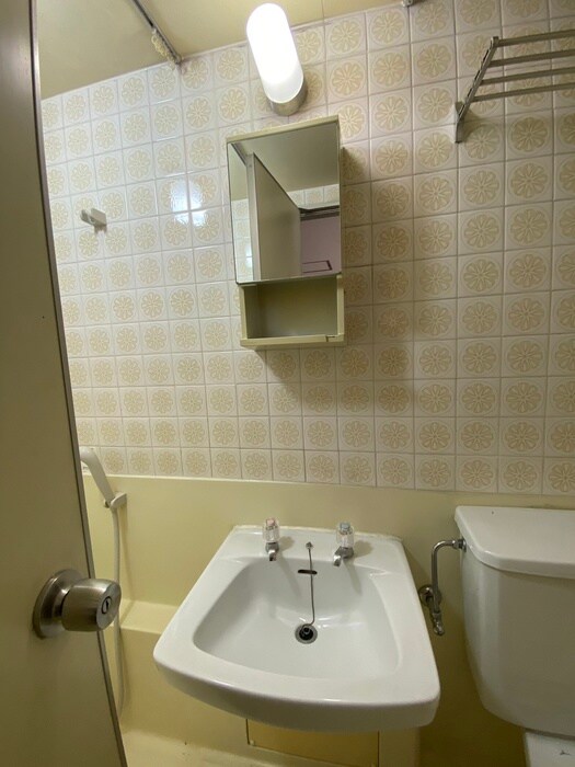 物件内観写真11　(洗面)