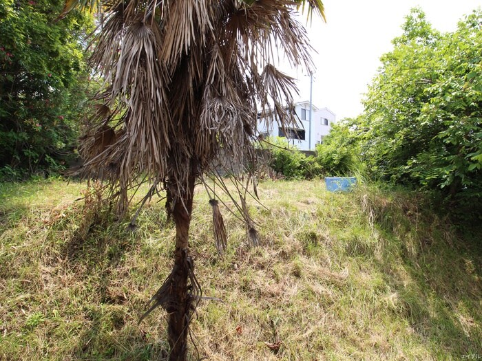 物件内観写真19　(室内からの展望)