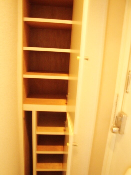 物件内観写真10　(靴箱)