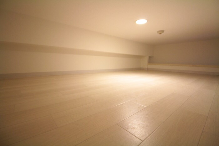 物件内観写真19　(ロフト)