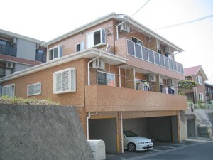 メゾン向陽外観写真