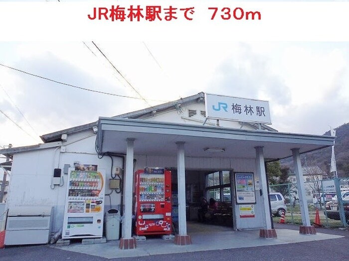 物件外観写真6　(周辺環境)