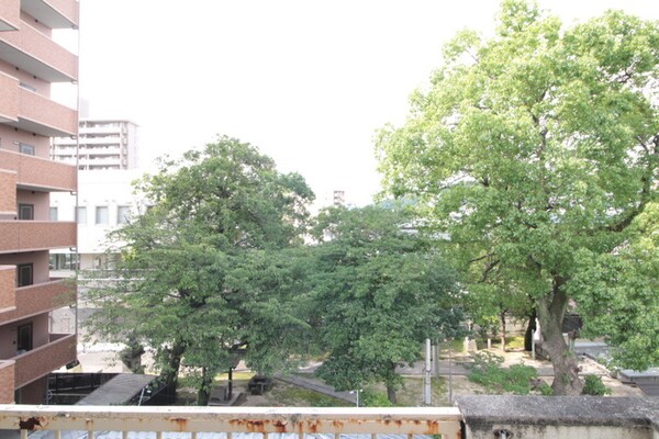 室内からの展望