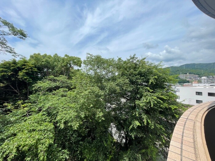 物件内観写真14　(室内からの展望)