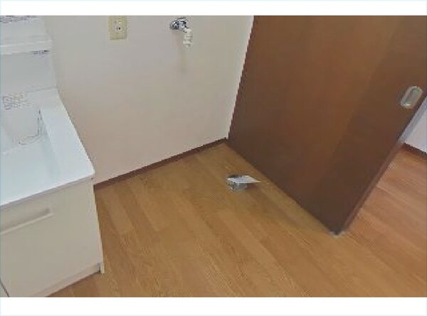 洗濯機置場