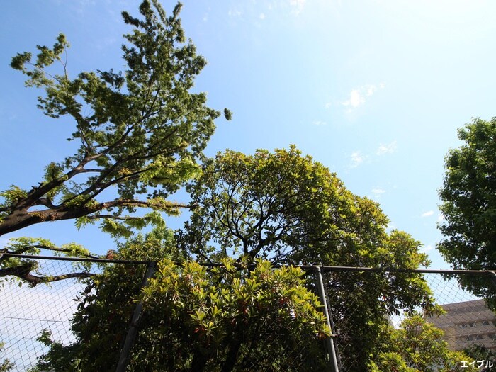 物件内観写真19　(室内からの展望)