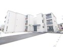sakura terrace