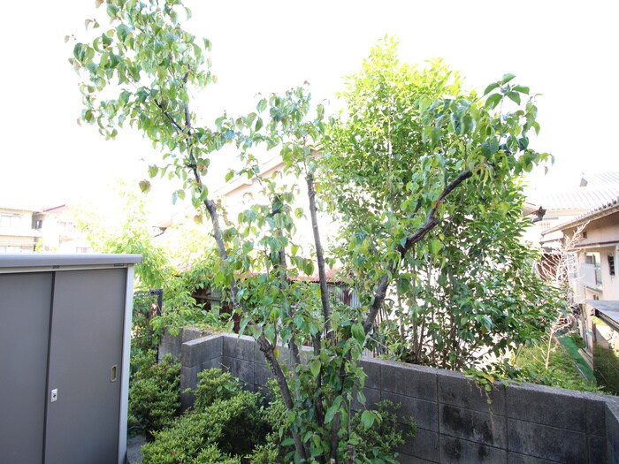 物件内観写真17　(室内からの展望)