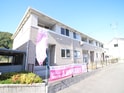 セラヴィＪ