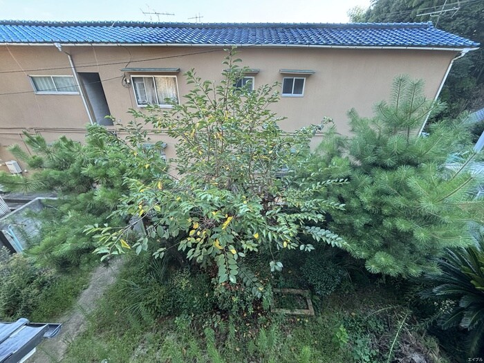 物件内観写真20　(室内からの展望)