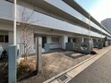 ﾅﾀﾘｰﾏﾘﾅﾀｳﾝｼｰﾃﾗｽ(113)