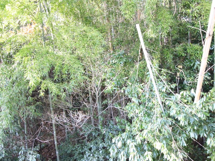 物件内観写真22　(室内からの展望)