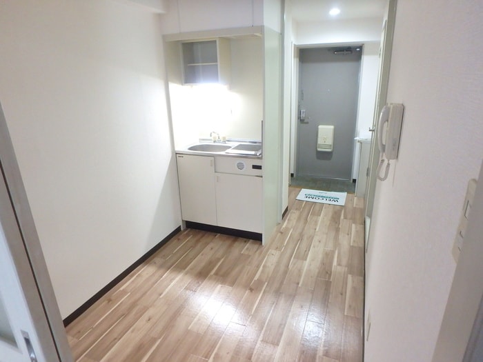 物件内観写真17　(廊下)