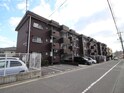BAUHAUS皆賀