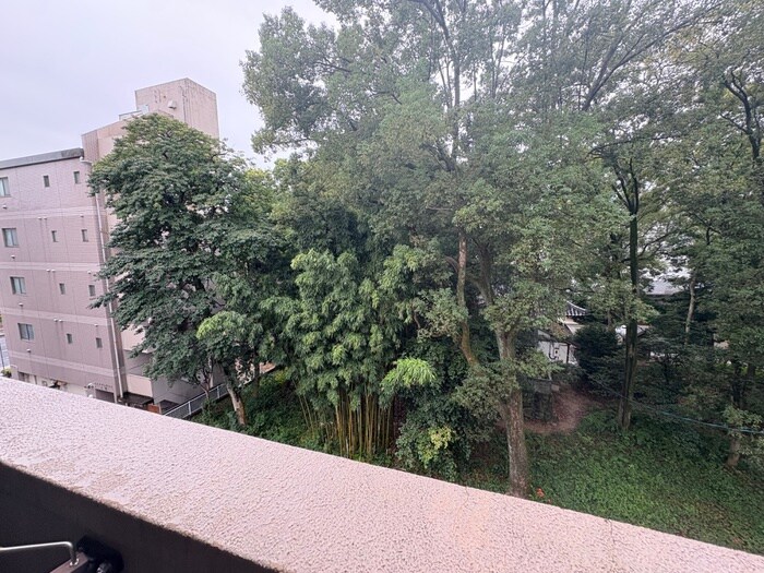 物件内観写真15　(室内からの展望)