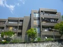 ライオンズマンション広島(404)