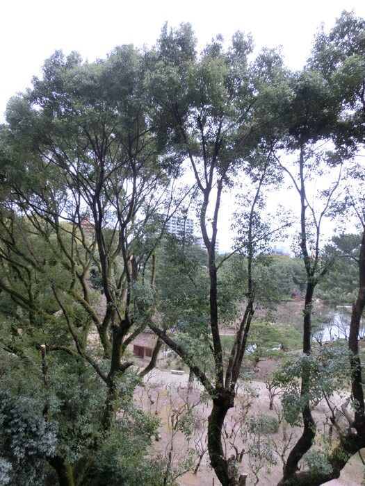 物件内観写真15　(室内からの展望)