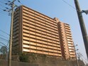 ﾗｲｵﾝｽﾞﾋﾙｽﾞ牛田早稲田(1302)