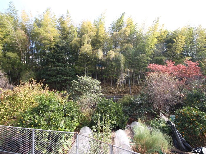 物件内観写真19　(室内からの展望)