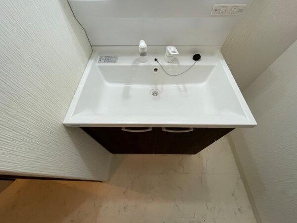 洗面・脱衣所(シャンプードレッサー)