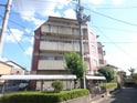 シャンデリ
