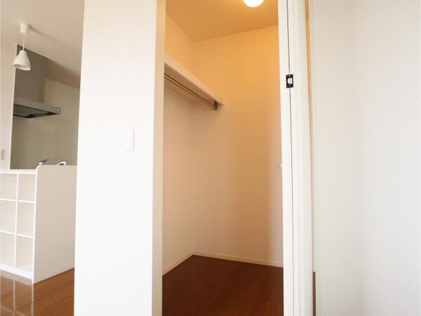 収納(ウォークインクローゼット)