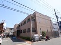 シェルフェリス