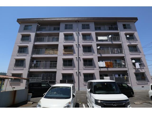 志都美駅 徒歩5分 5階の外観