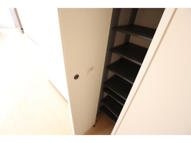 近鉄下田駅 徒歩12分 1階の収納