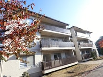 近鉄難波線・奈良線 菖蒲池駅 3階建 築41年の外観写真