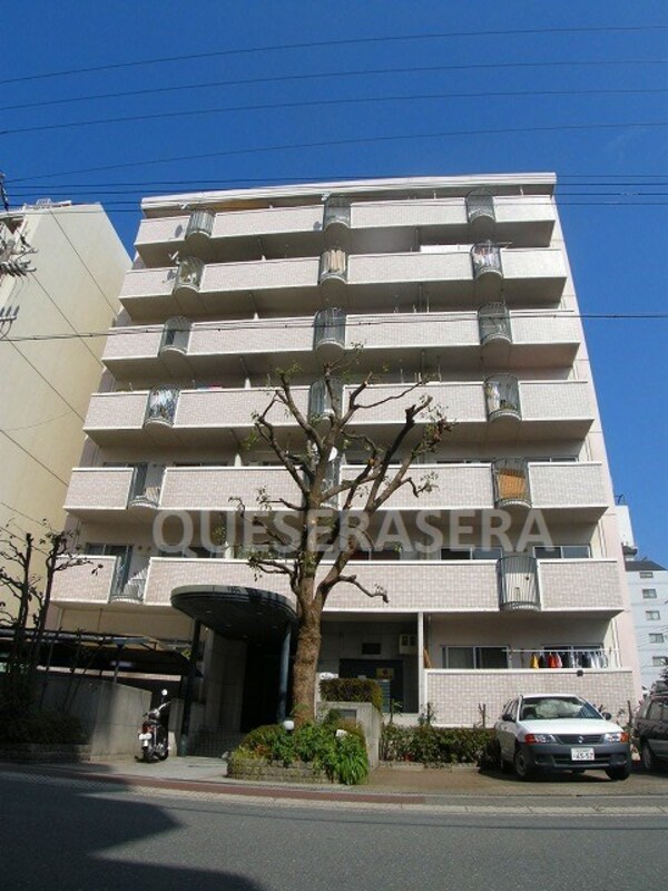 外観・土地