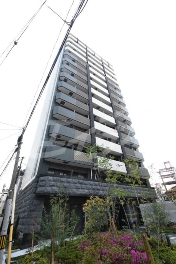 外観・土地