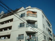 グリーンハイツ淀の外観写真