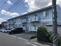 ハナミズキ