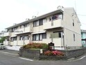 ライクピア