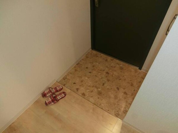 玄関回り