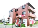 キャップストーン藤川