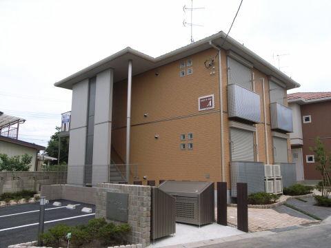 ウィルコートコガネ　A
