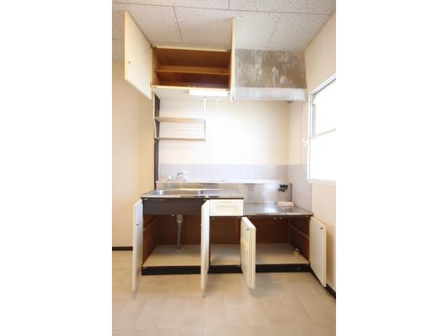 物件内観写真5　(キッチン流し台収納です！)
