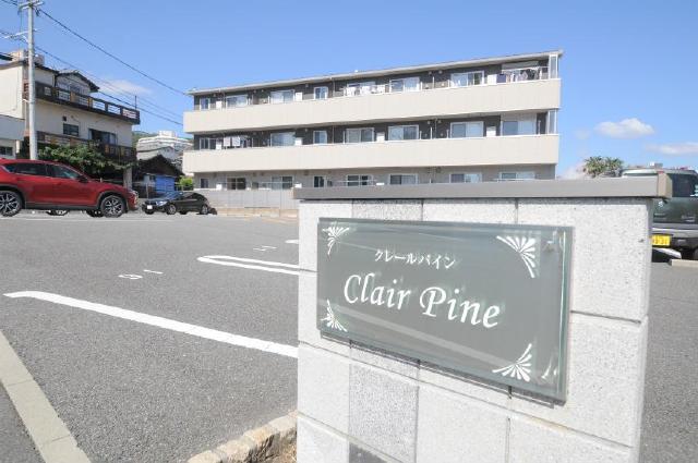 Clair Pine