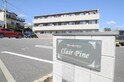 Clair Pine