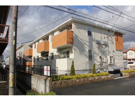 シュシュ外観写真